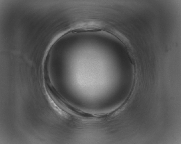 X0000053161200200507111459
