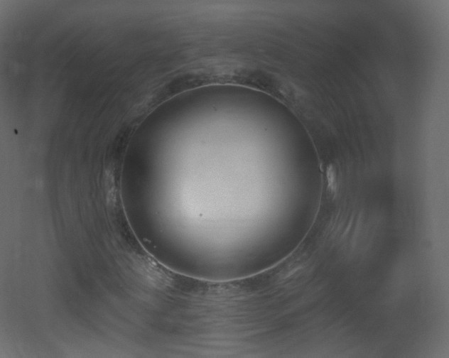 X0000053161203200507111458