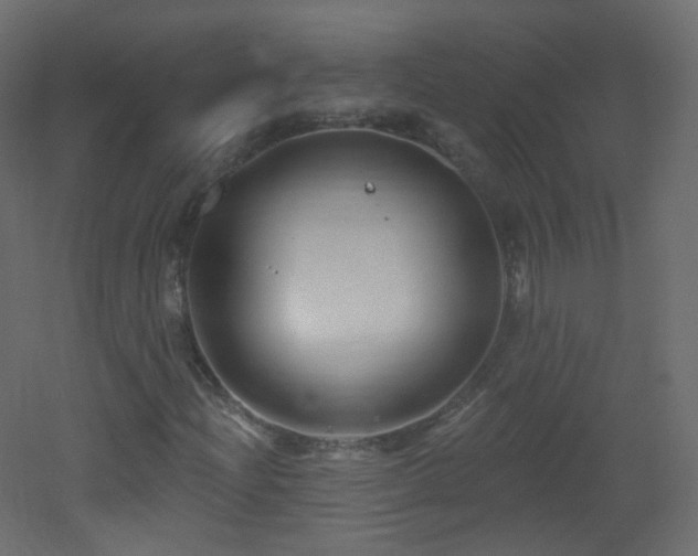 X0000053161204200507111458