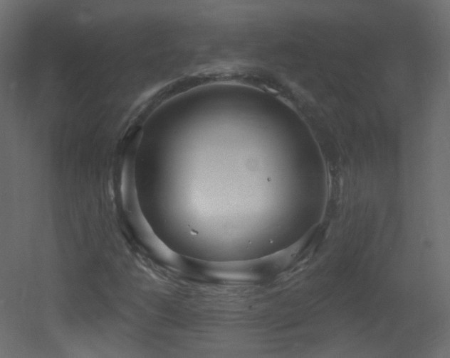 X0000053161206200507111458