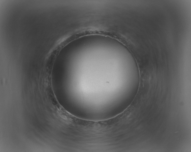X0000053161207200507111458
