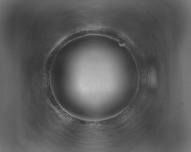 X0000053161208200507111458