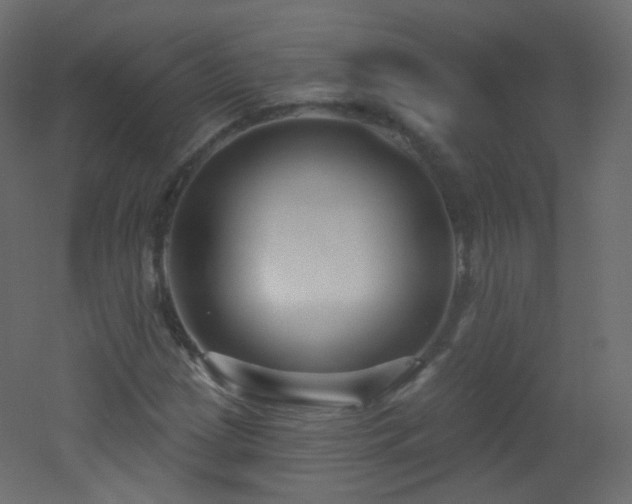 X0000053161209200507111458