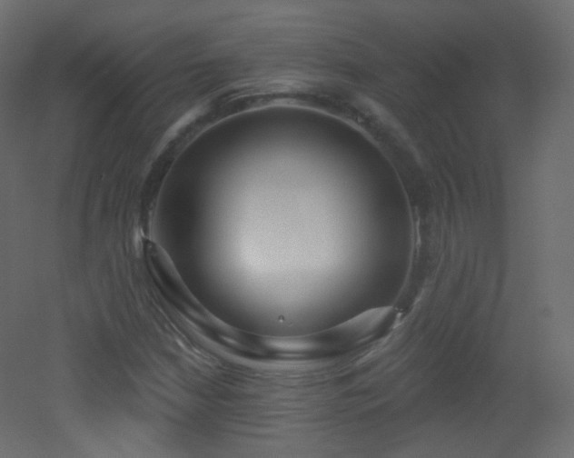 X0000053161210200507111458