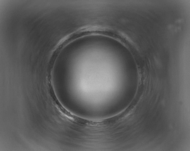 X0000053161213200507111458