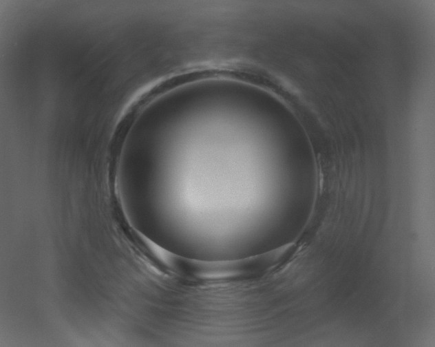 X0000053161214200507111458