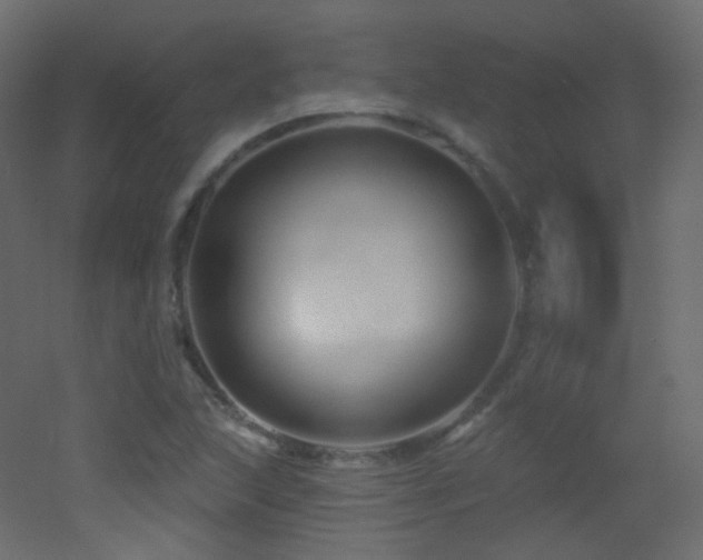 X0000053161215200507111458