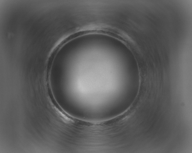 X0000053161216200507111458