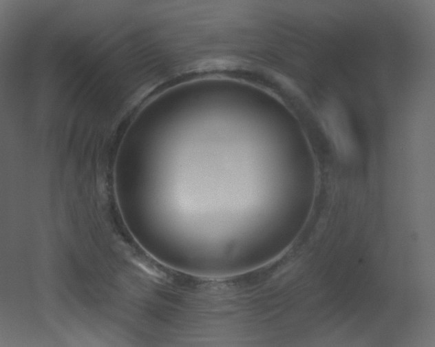 X0000053161217200507111458