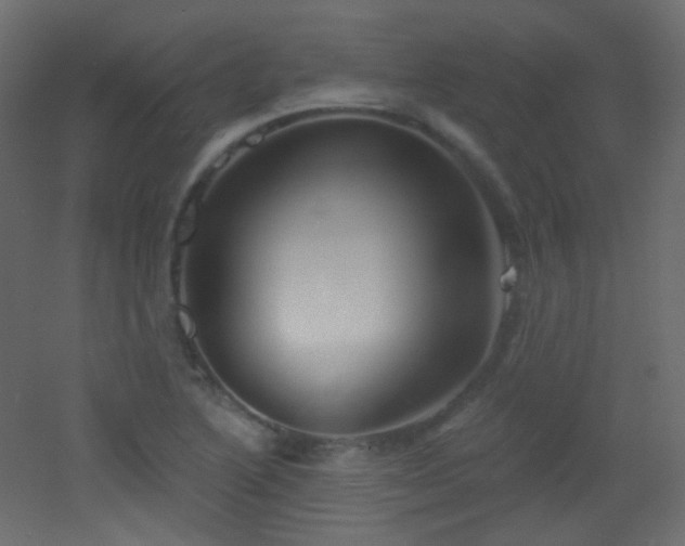 X0000053161222200507111458