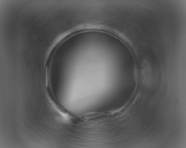 X0000053161223200507111458