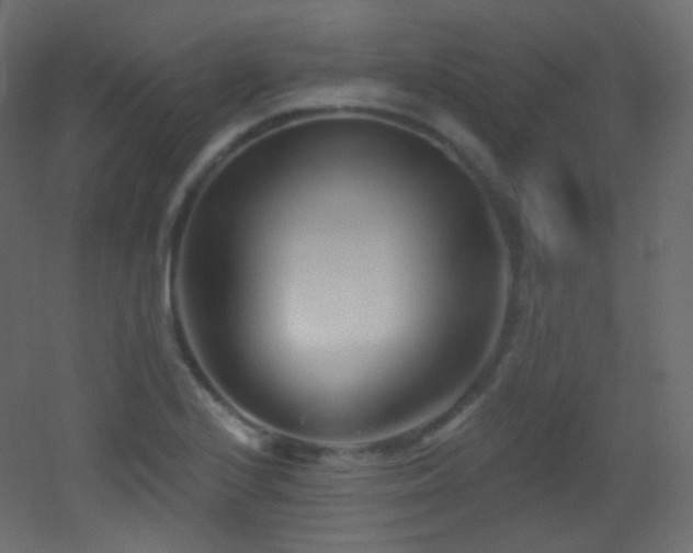 X0000053161224200507111458