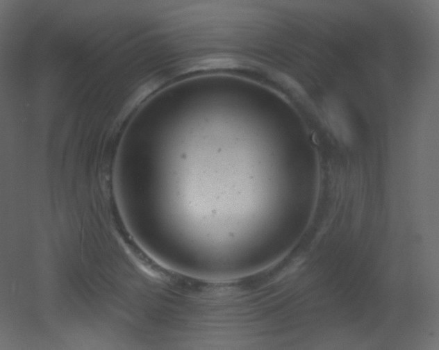 X0000053161225200507111458