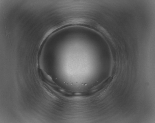 X0000053161226200507111458
