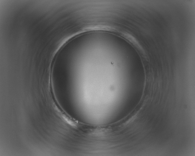 X0000053161228200507111459