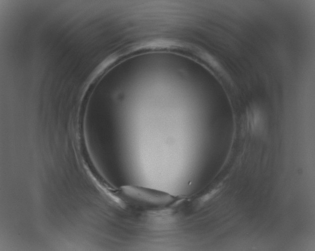 X0000053161229200507111459