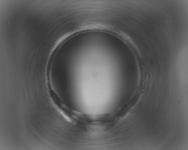 X0000053161230200507111459