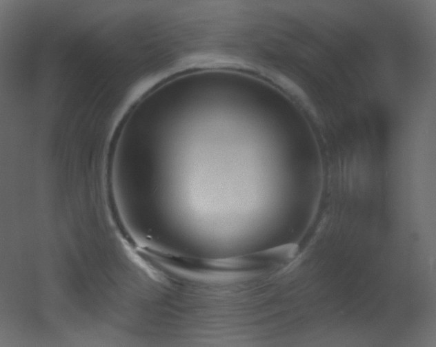 X0000053161231200507111459