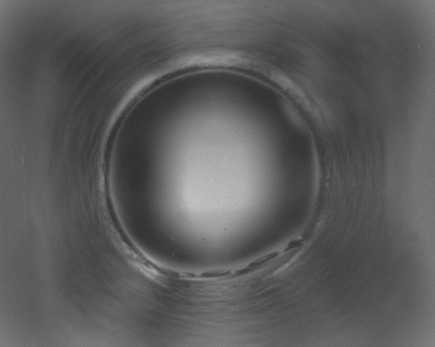 X0000053161232200507111459