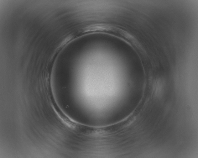 X0000053161233200507111459