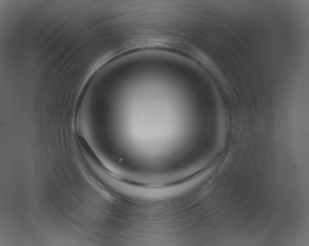 X0000053161234200507111459