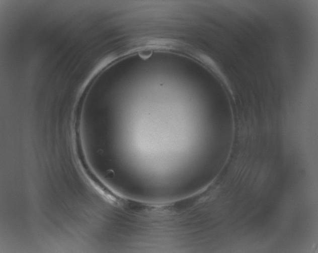 X0000053161235200507111459