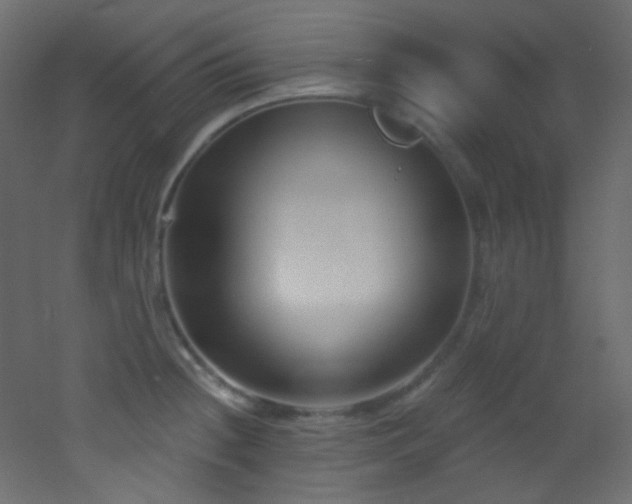 X0000053161236200507111459