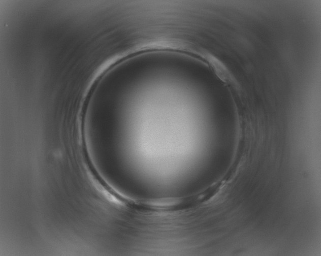 X0000053161238200507111459