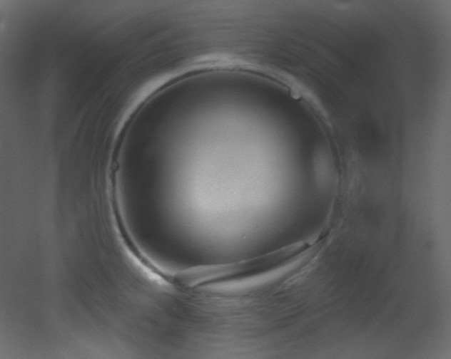 X0000053161239200507111459