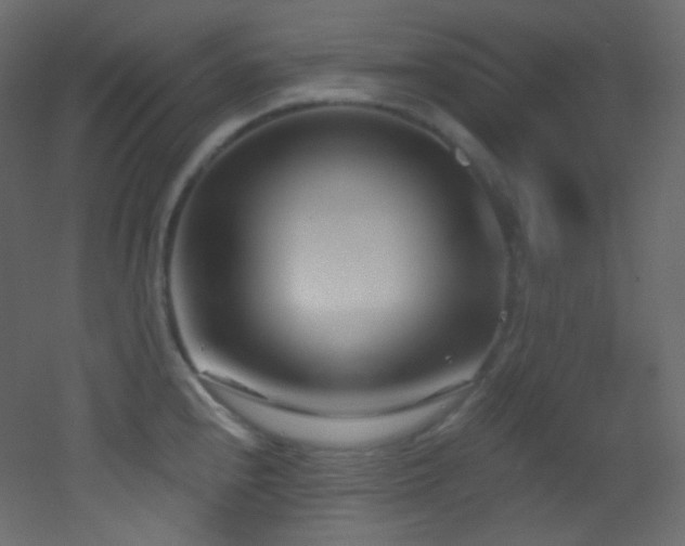 X0000053161240200507111459