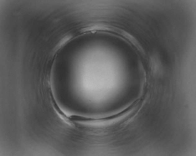 X0000053161241200507111459