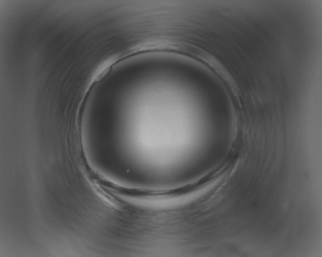 X0000053161242200507111459