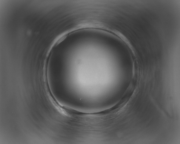 X0000053161246200507111459