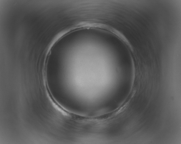 X0000053161247200507111459
