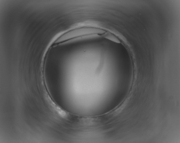 X0000053161248200507111459