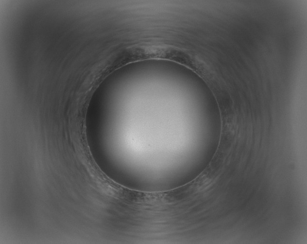 X0000053161249200507111458