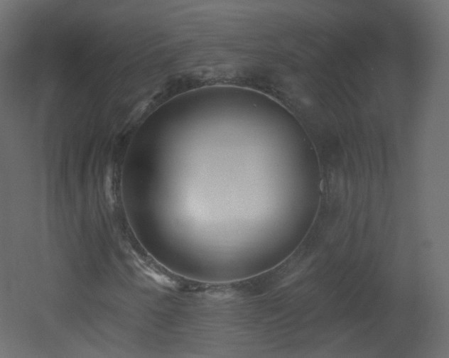 X0000053161250200507111458