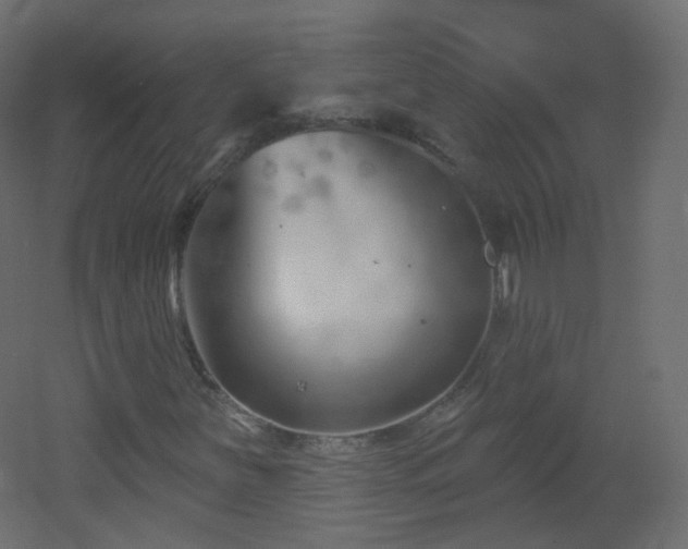 X0000053161251200507111458