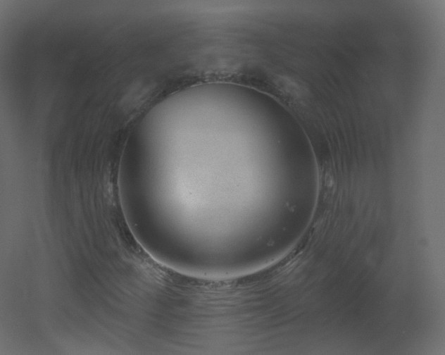 X0000053161252200507111458