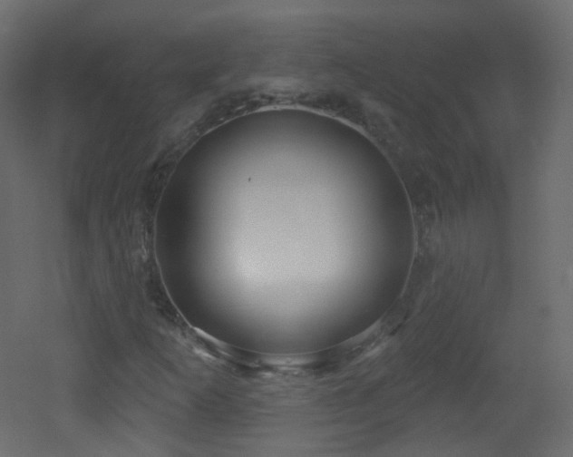 X0000053161253200507111458
