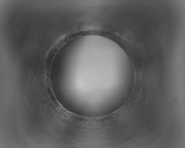X0000053161254200507111458