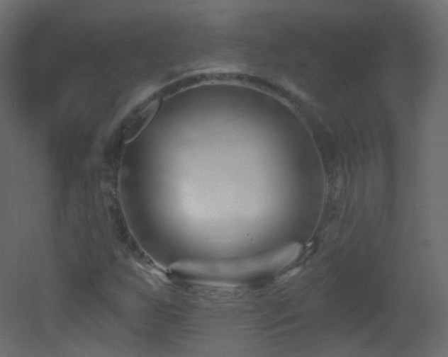 X0000053161255200507111458