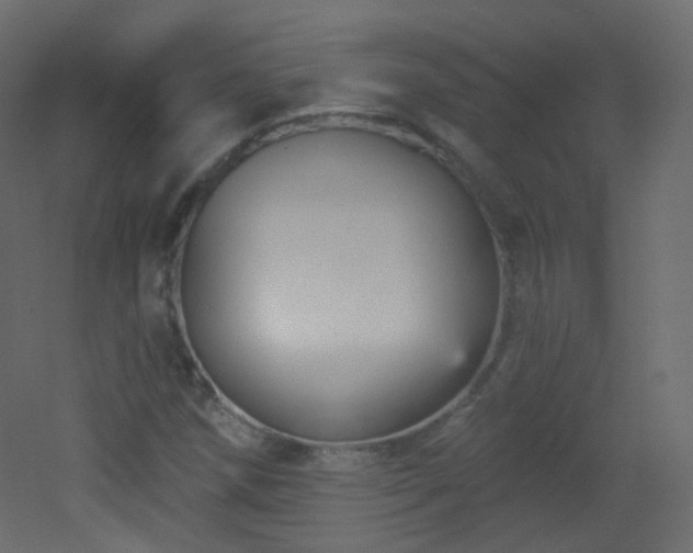 X0000053161258200507111458