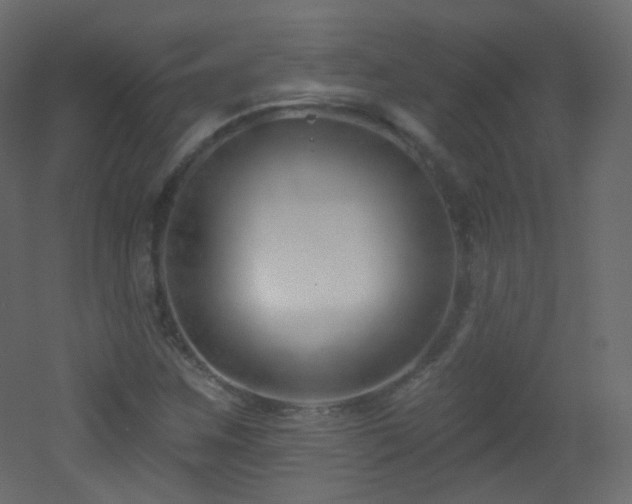 X0000053161259200507111458
