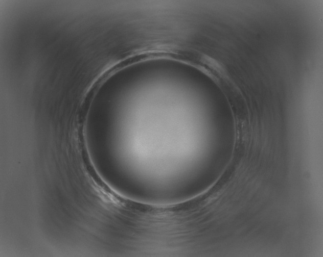 X0000053161260200507111458