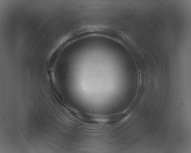 X0000053161261200507111458