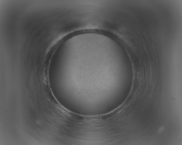 X0000053161262200507111458