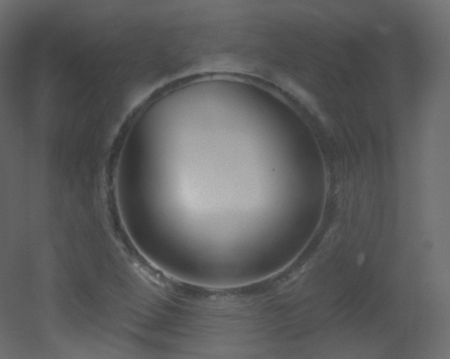 X0000053161264200507111458
