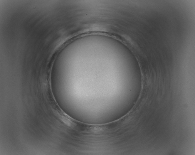 X0000053161266200507111458