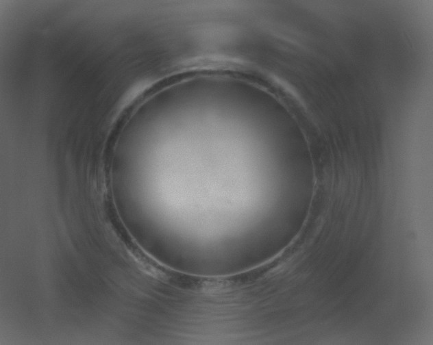 X0000053161267200507111458